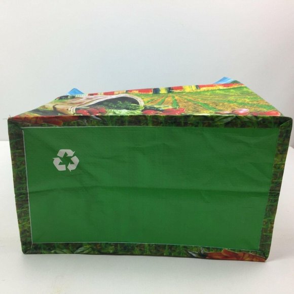 Earthwise Bags Be Wise Earthwise Reusable Grocery Shopping Bag